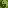 Green Spawn Block Side Texture