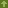Green Spawn Block Top Texture