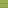 Lime Planks Texture