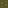 Log Palm Texture