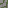 Mossy Cobblestone Texture