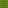 Neon Green Texture