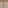 Chalk Bricks Slab Side Brown Texture