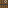 Pine Door Bottom Texture