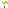 Attached Banana Stem Wrapper Texture