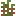 Tomato Plant Stage2 Top Texture