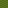 Wool Colored Green Texture