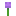 Allium Texture