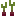 Beetroot Plant Stage2 Texture