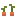 Carrot Plant Stage2 Texture