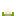 Cauliflower Plant Stage2 Texture