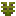 Coffee Plant Stage2 Texture