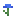 Cornflower Texture