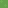 Grass Top Texture