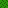 Leaves Jungle Texture