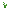 Lily Of The Valley Texture