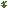 Maple Sapling Texture