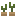 Potato Plant Stage2 Texture