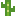 Small Cactus Texture