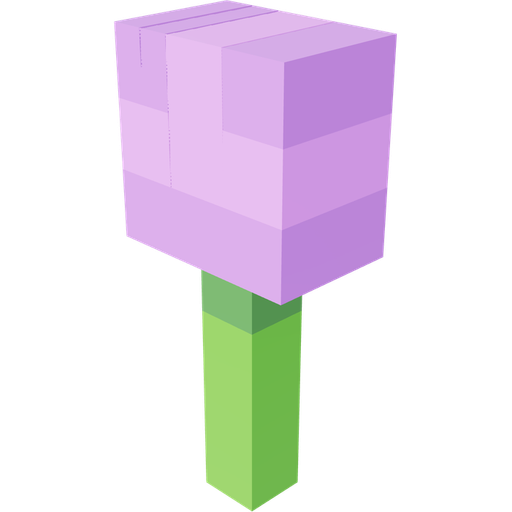 Allium