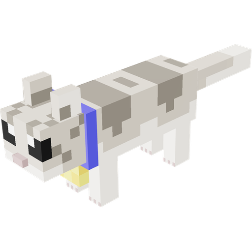 Wildcat